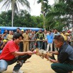 Bupati Inhu, Yopi Arianto dan rombongan sebelum bertolak ke TNBT mampir di Desa Siambul menyaksikan kebudayaan warga suku Talang, yakni sabung ayam. Foto Humas Inhu